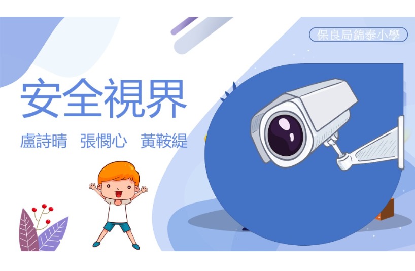 安全視界